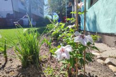 20260526-PenzionPodDubem-Okoli_153734-1024x